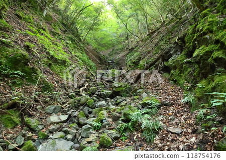 沿著天瀧溪谷的山路前進【國定公園與森林浴森林100選】/兵庫縣養父市大屋町木筏 118754176