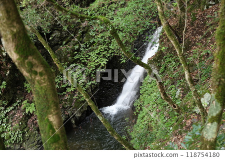 Walking along the mountain trail of Tendaki Valley [National Park, Top 100 Forests for Forest Bathing] / Ikadachi, Oya-cho, Yabu City, Hyogo Prefecture 118754180
