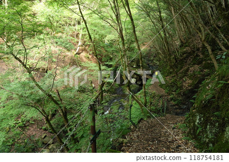 沿著天瀧溪谷的山路前進【國定公園與森林浴森林100選】/兵庫縣養父市大屋町木筏 沿著天瀧溪谷的山路前進【國定公園與森林浴森林100選】/兵庫縣養父市大屋町木筏 118754181
