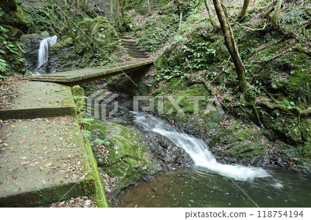 沿著天瀧溪谷的山路前進【國定公園與森林浴森林100選】/兵庫縣養父市大屋町木筏 沿著天瀧溪谷的山路前進【國定公園與森林浴森林100選】/兵庫縣養父市大屋町木筏 118754194