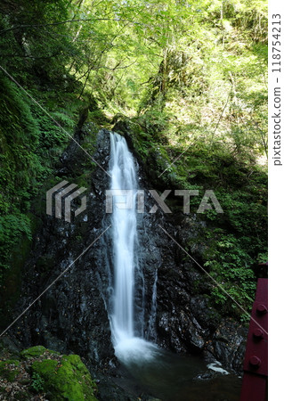 Walking along the mountain trail of Tendaki Valley [National Park, Top 100 Forests for Forest Bathing] / Ikadachi, Oya-cho, Yabu City, Hyogo Prefecture 118754213
