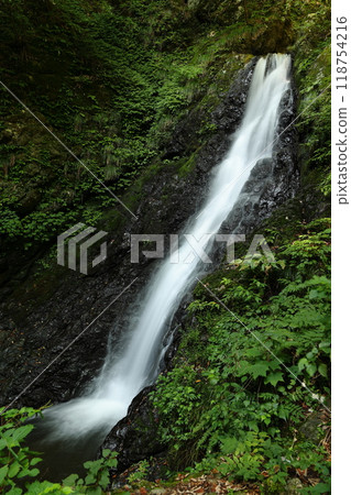 沿著天瀧溪谷的山路前進【國定公園與森林浴森林100選】/兵庫縣養父市大屋町木筏 118754216