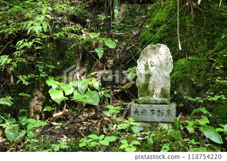 沿著天瀧溪谷的山路前進【國定公園與森林浴森林100選】/兵庫縣養父市大屋町木筏 沿著天瀧溪谷的山路前進【國定公園與森林浴森林100選】/兵庫縣養父市大屋町木筏 118754220