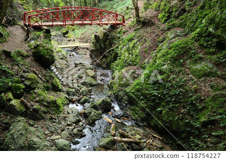 Walking along the mountain trail of Tendaki Valley [National Park, Top 100 Forests for Forest Bathing] / Ikadachi, Oya-cho, Yabu City, Hyogo Prefecture 118754227