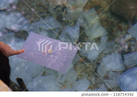 <Shimane Prefecture> Yaegaki Shrine, Mirror Pond Divination 118754392