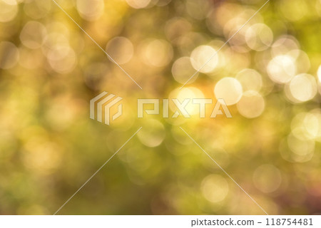 自然風光散景閃光背景秋天的顏色 118754481