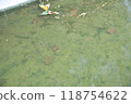 運河 118754622