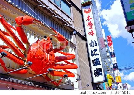 大阪難波,以美食之城聞名 大阪難波,以美食之城聞名 118755012