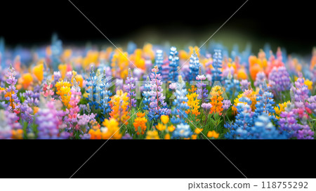 Colorful Wildflower Meadow Blooming in Spring With Various Flower Species Under Bright Sunlight 118755292