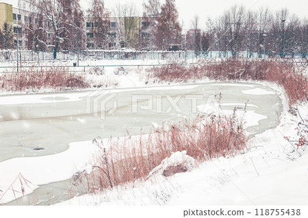 frozen lake in Krakow Poland. trees and bushes in the snow. benches and alley in the park in winter. frozen lake 118755438