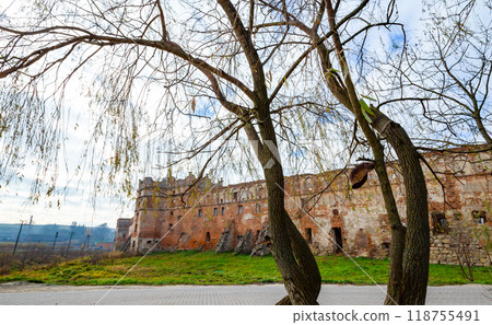 Stare Selo Old village Castle, Lviv region, Ukraine. Castle in the Stare Selo old village near the Lviv in western Ukraine 118755491
