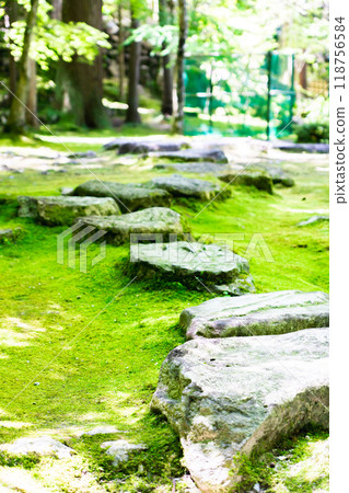 滋賀縣犬神郡高良町、西名寺（江東三山）、風景庭園（蓬萊庭園）、苔蘚庭園、踏腳石 118756584