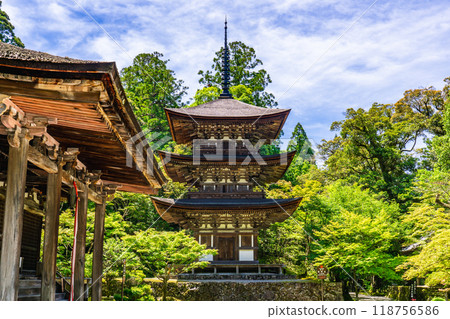 滋賀縣犬神郡高良町、西名寺（江東三山）、三層寶塔（國寶） 118756586