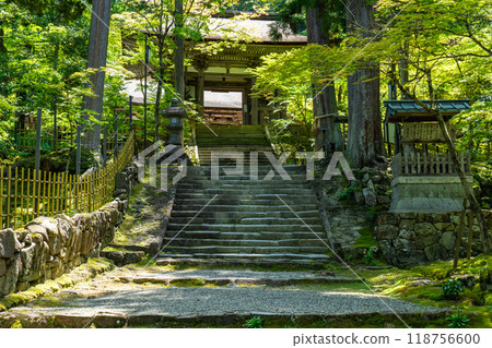 Nishimyouji Temple (Koto Sanzan), Kora-cho, Inukami-gun, Shiga Prefecture, Nitenmon Gate (Important Cultural Property) and Couple Cedars Nishimyouji Temple (Koto Sanzan), Kora-cho, Inukami-gun, Shiga Prefecture, Nitenmon Gate (Important Cultural Property) and Couple Cedars 118756600