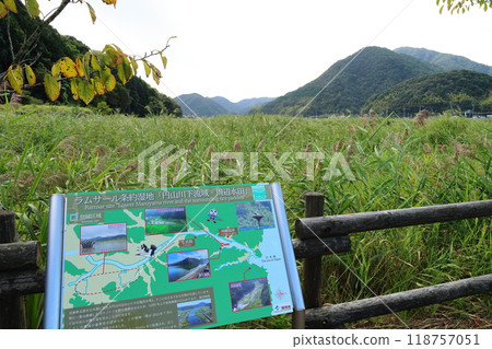 豐岡市八、五郎戶島濕地【拉姆薩爾公約登記濕地】/兵庫縣豐岡市城崎町 118757051