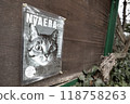 Cat poster 118758263