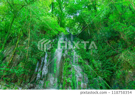 Takachiho Gorge of Midsummer Takachiho Gorge of Midsummer 118758354