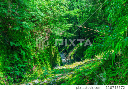 Takachiho Gorge of Midsummer 118758372