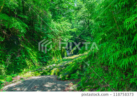 Takachiho Gorge of Midsummer 118758373