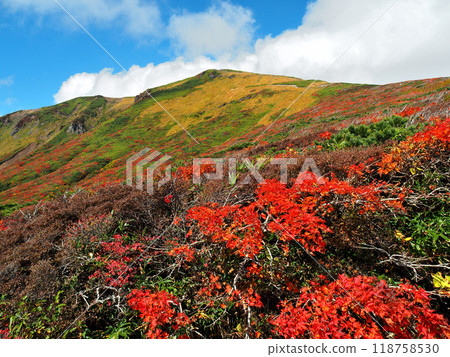 紅葉栗駒山，宮城縣、秋田縣、岩手縣（2015年） 118758530