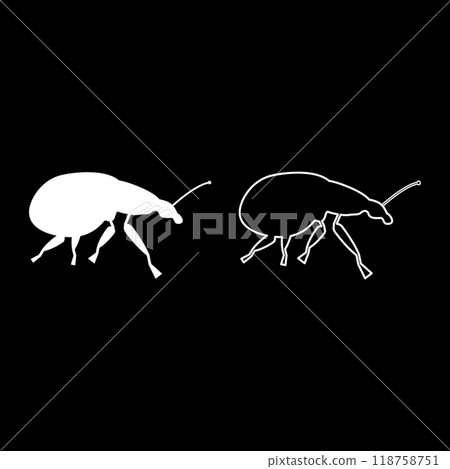 Weevil insect pest set icon white color vector illustration image solid fill outline contour line thin flat style 118758751