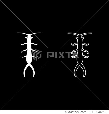 Earwig set icon white color vector illustration image solid fill outline contour line thin flat style 118758752