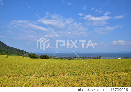 Rice terraces and Lake Biwa in Ukawa, Takashima City, Shiga Prefecture 118759058
