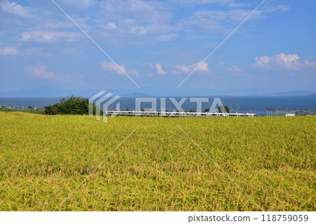 滋賀縣高島市宇川的梯田和琵琶湖以及JR湖西線的列車 118759059
