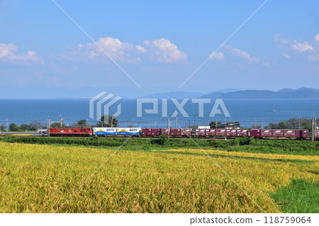 滋賀縣高島市宇川的梯田、貨運列車和琵琶湖風景 118759064
