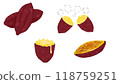 Set of 4 sweet potato illustrations 118759251