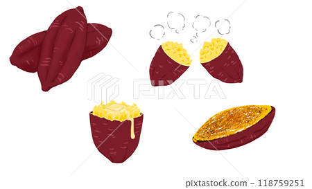 Set of 4 sweet potato illustrations Set of 4 sweet potato illustrations 118759251