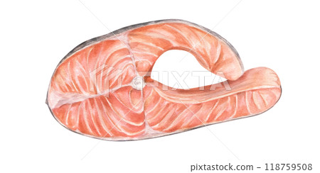 Slice of raw trout steak fish prepared for cooking watercolor food illustration. Steamed salmon steak hand drawn painting ingredient for seafood and marine recipes, menu, cookbook. Top view 118759508