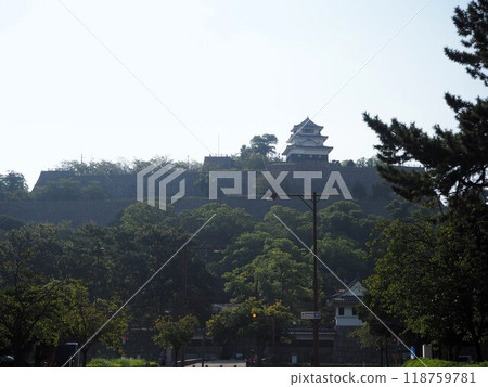 Marugame castle castle tower 118759781