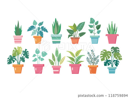 Illustration set of foliage plants 118759894