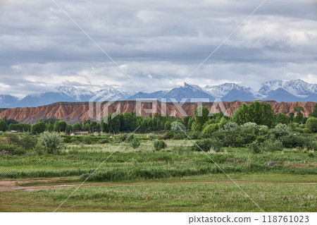 Diverse soils, green plants, sandstone and high snow-capped mountains. 118761023