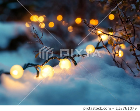 String of Lights Illuminating Snowy Branches in the Evening 118761079