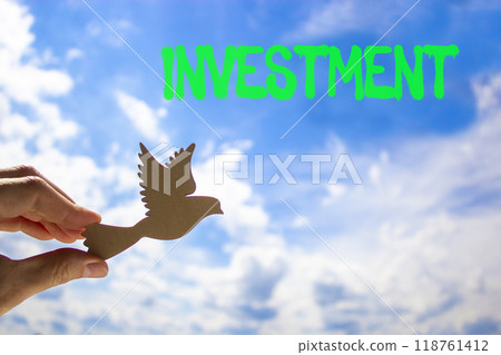 Investment symbol. Concept word Investment on beautiful blue sky. Beautiful blue sky and clouds background. Businessman hand with wooden bird. Business investment concept. Copy space. Investment symbol. Concept word Investment on beautiful blue sky. Beautiful blue sky and clouds background. Businessman hand with wooden bird. Business investment concept. Copy space. 118761412