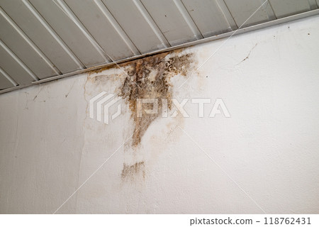 Flooding rainwater or floor heating systems, causing damage, peeling paint and mildew Flooding rainwater or floor heating systems, causing damage, peeling paint and mildew 118762431