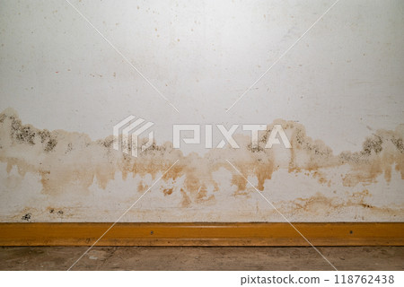 Flooding rainwater or floor heating systems, causing damage, peeling paint and mildew 118762438