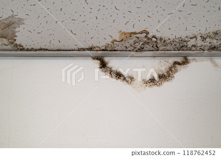 Flooding rainwater or floor heating systems, causing damage, peeling paint and mildew 118762452