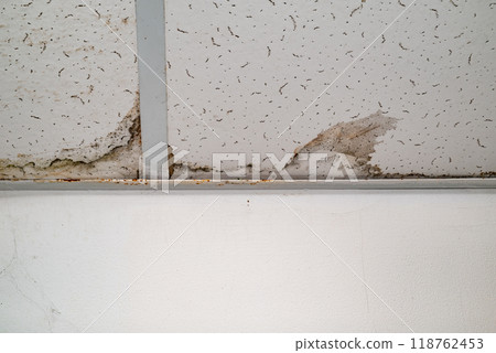 Flooding rainwater or floor heating systems, causing damage, peeling paint and mildew 118762453