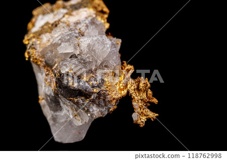 macro mineral stone gold in the rock on a black background 118762998