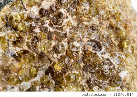 macro mineral stone grossular on a white background macro mineral stone grossular on a white background 118763014