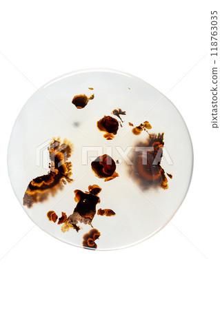 macro mineral stone Agata muschiata on a white background macro mineral stone Agata muschiata on a white background 118763035
