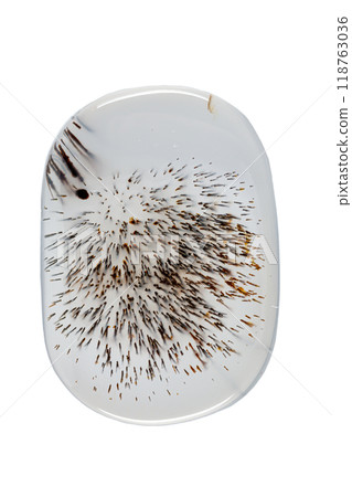 macro mineral stone Agata muschiata on a white background 118763036