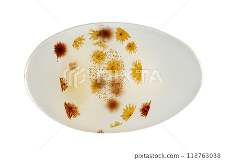 macro mineral stone Agata muschiata on a white background 118763038
