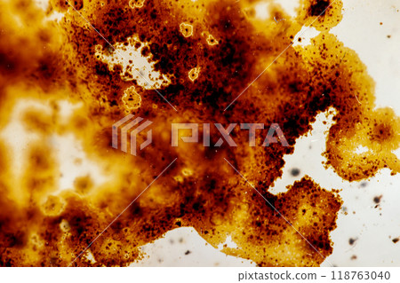 macro mineral stone Agata muschiata on a white background macro mineral stone Agata muschiata on a white background 118763040