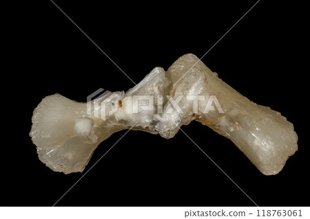 Macro of a stone Stilbite mineral on a black background Macro of a stone Stilbite mineral on a black background 118763061