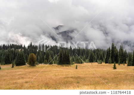 Stunning views of the lush Burroughs Mountains along Sunrise Rim Trail. Stunning views of the lush Burroughs Mountains along Sunrise Rim Trail. 118764418