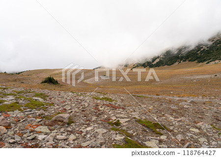 Stunning views of the lush Burroughs Mountains along Sunrise Rim Trail. 118764427